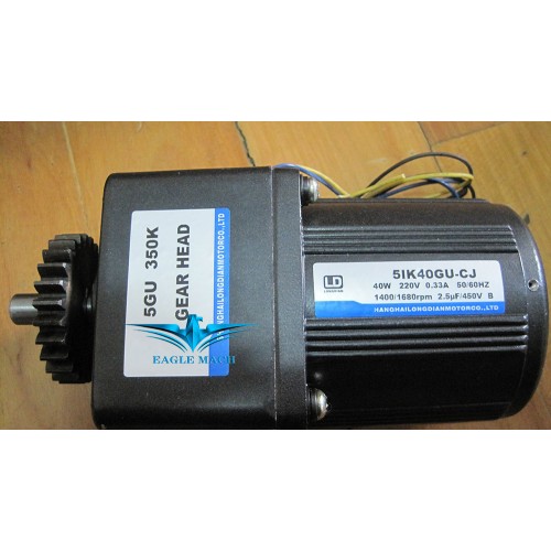 5IK40GU-CJ Motor